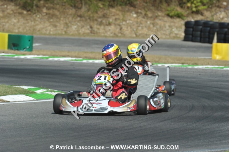 DSC_ (1131).JPG